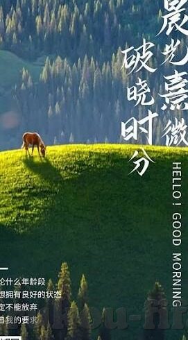 尴尬足球比分网-当数据跑偏，尴尬足球比分网的那些啼笑皆非时刻