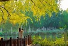 即时足球直播比分-即时足球直播比分，绿茵场上的实时脉搏，球迷的狂欢指南
