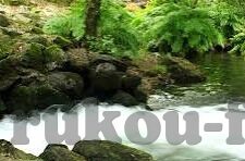 森林舞会游戏大厅app-探索森林舞会游戏大厅APP，一场虚拟与现实的奇妙融合